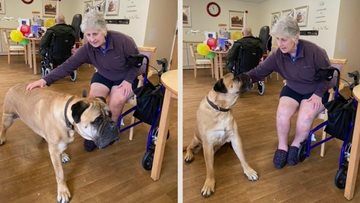 Former dog show competitor over the moon with care home pooch